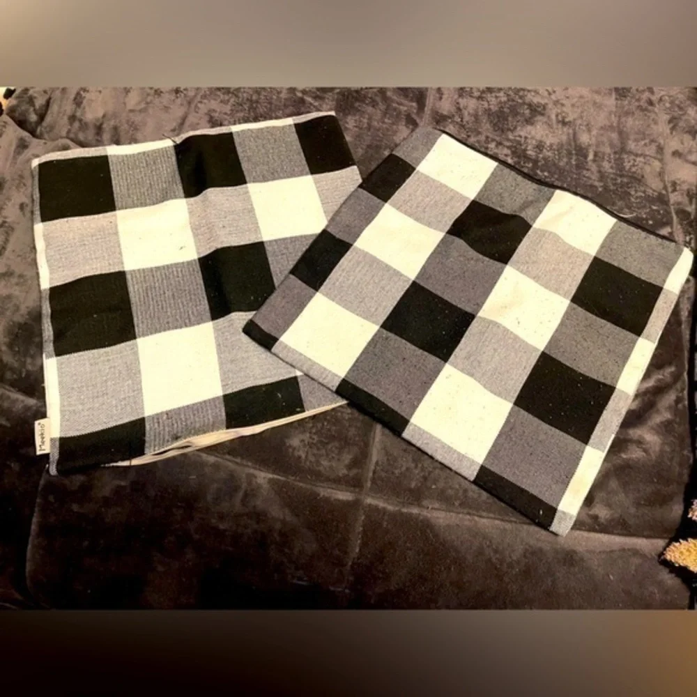 18x18 zip pillow covers great shape